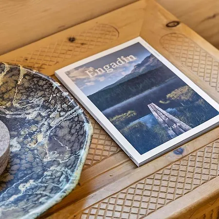 Alpine Flat Near Sankt Moritz Apartment
