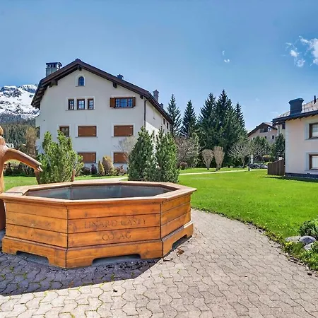 Alpine Flat Near Sankt Moritz